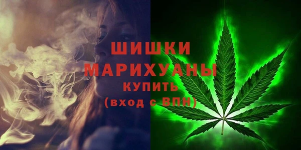 индика Костерёво