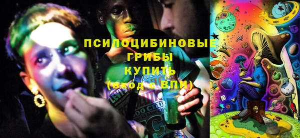 индика Костерёво