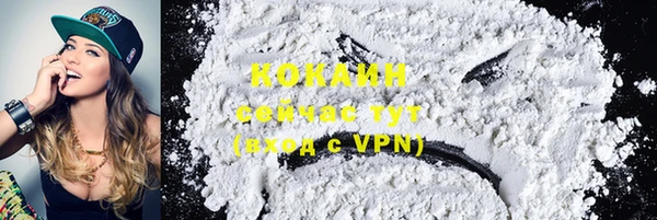 индика Костерёво