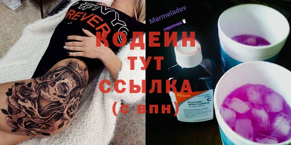 индика Костерёво