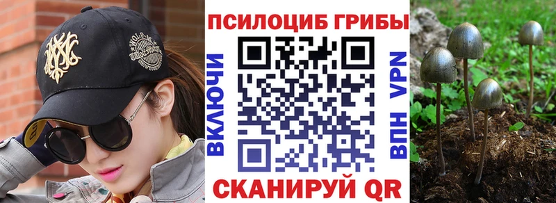 Псилоцибиновые грибы ЛСД  купить наркотики сайты  Мелеуз 